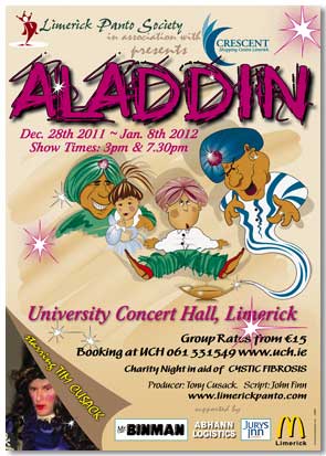 aladdin presented by limerick panto society